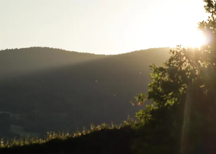 Am Wasser Ferienhaus *